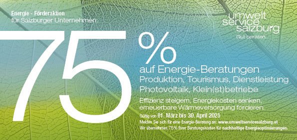 Energie-Förderaktion für Unternehmen startet am 1. März