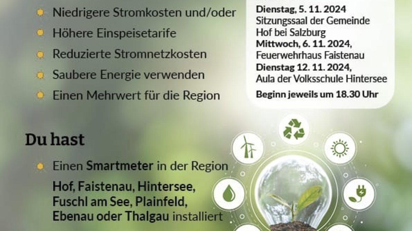 Energiegemeinschaft "Energie2Seen"