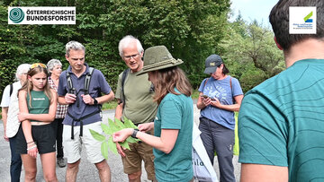 Fotos: Harald Kienzl © KEM Fuschlsee-Wolfgangsee