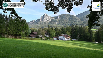 Wald der Zukunft