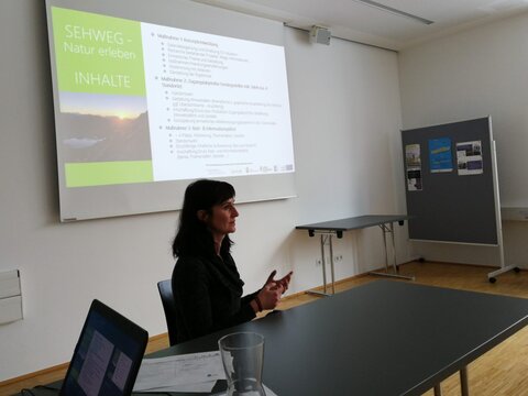 Präsentation Projekt «SEHWEG», Nadine Guggenberger