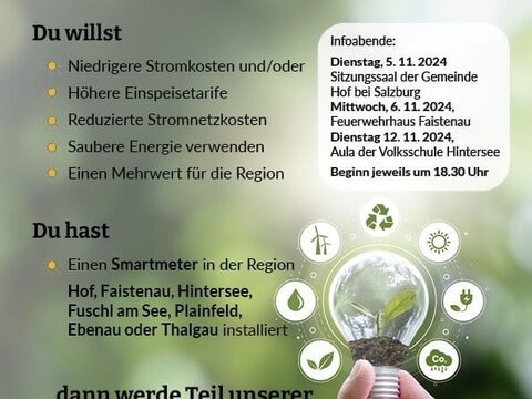 Energiegemeinschaft "Energie2Seen"